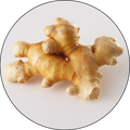 תמצית ג'ינג'ר (Ginger Extract)