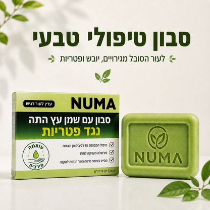 ChatGPT Image Aug 9, 2026, 02_06_55 AM.png
